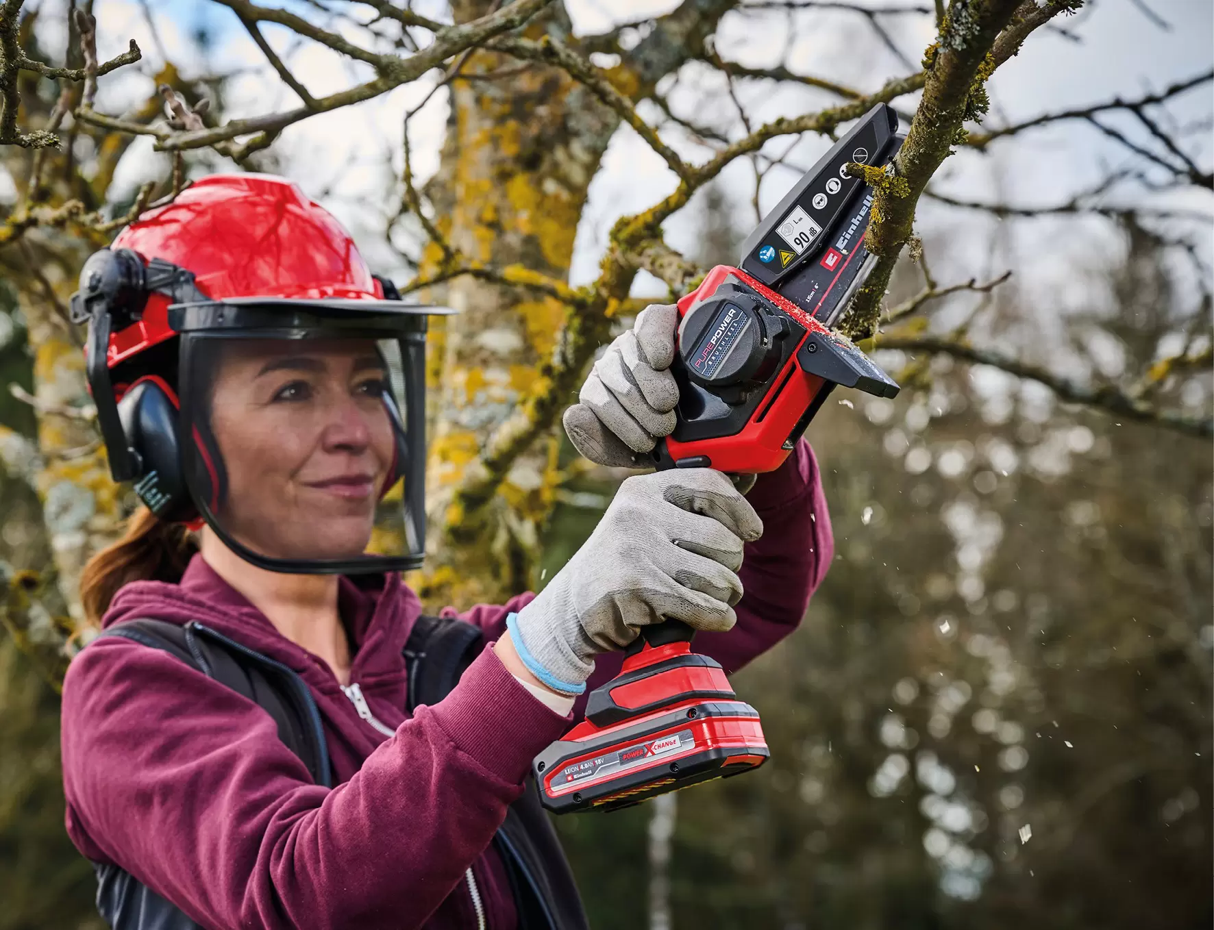 einhell-expert-cordless-pruning-chain-saw-4600043-example_usage-001