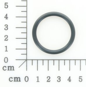 o-ring
