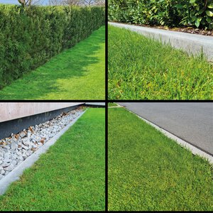 FREELEXO CAM PLUS 600