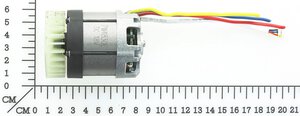 brushless motor