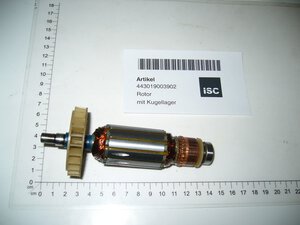 rotor with bearing