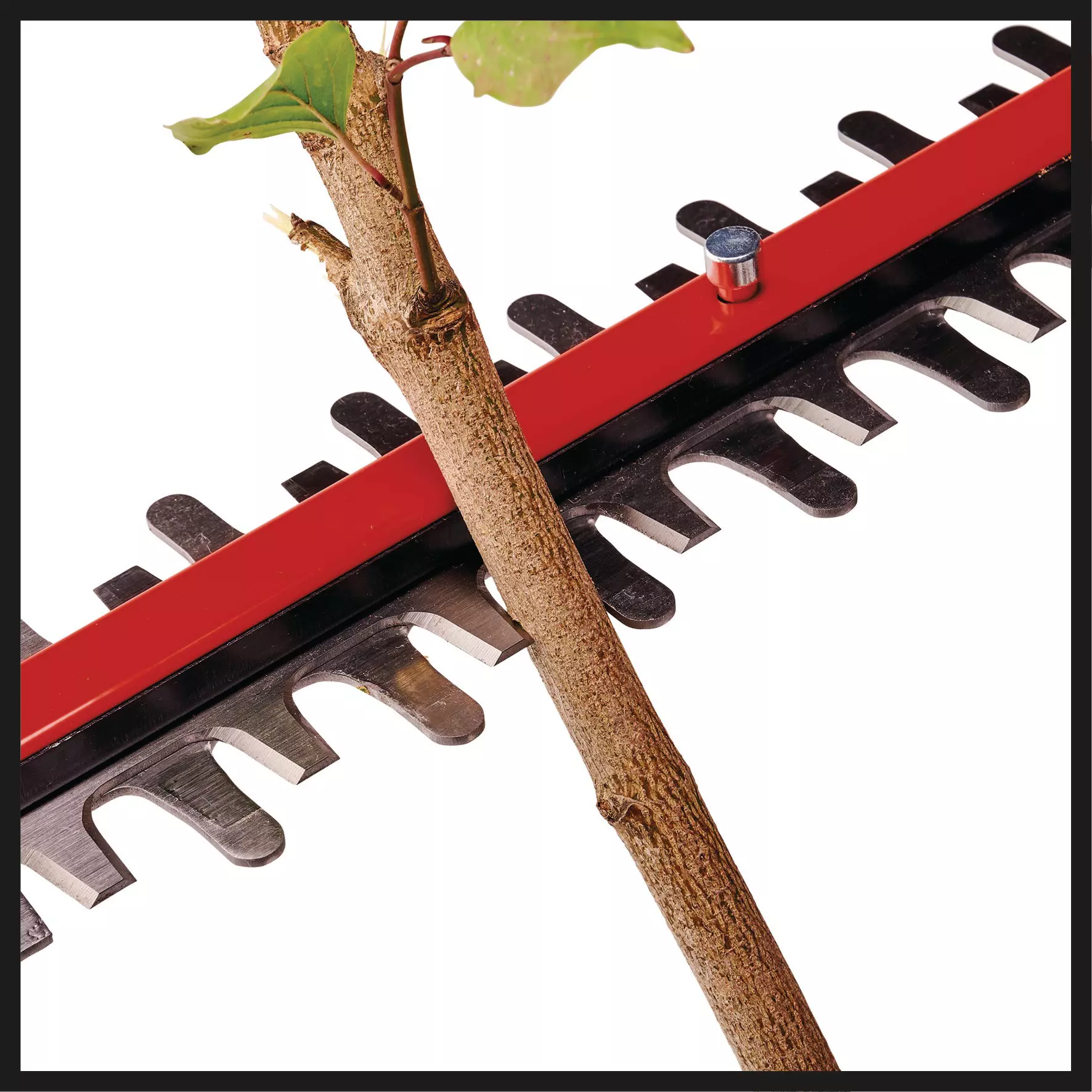 einhell-professional-cordless-hedge-trimmer-3410935-detail_image-003