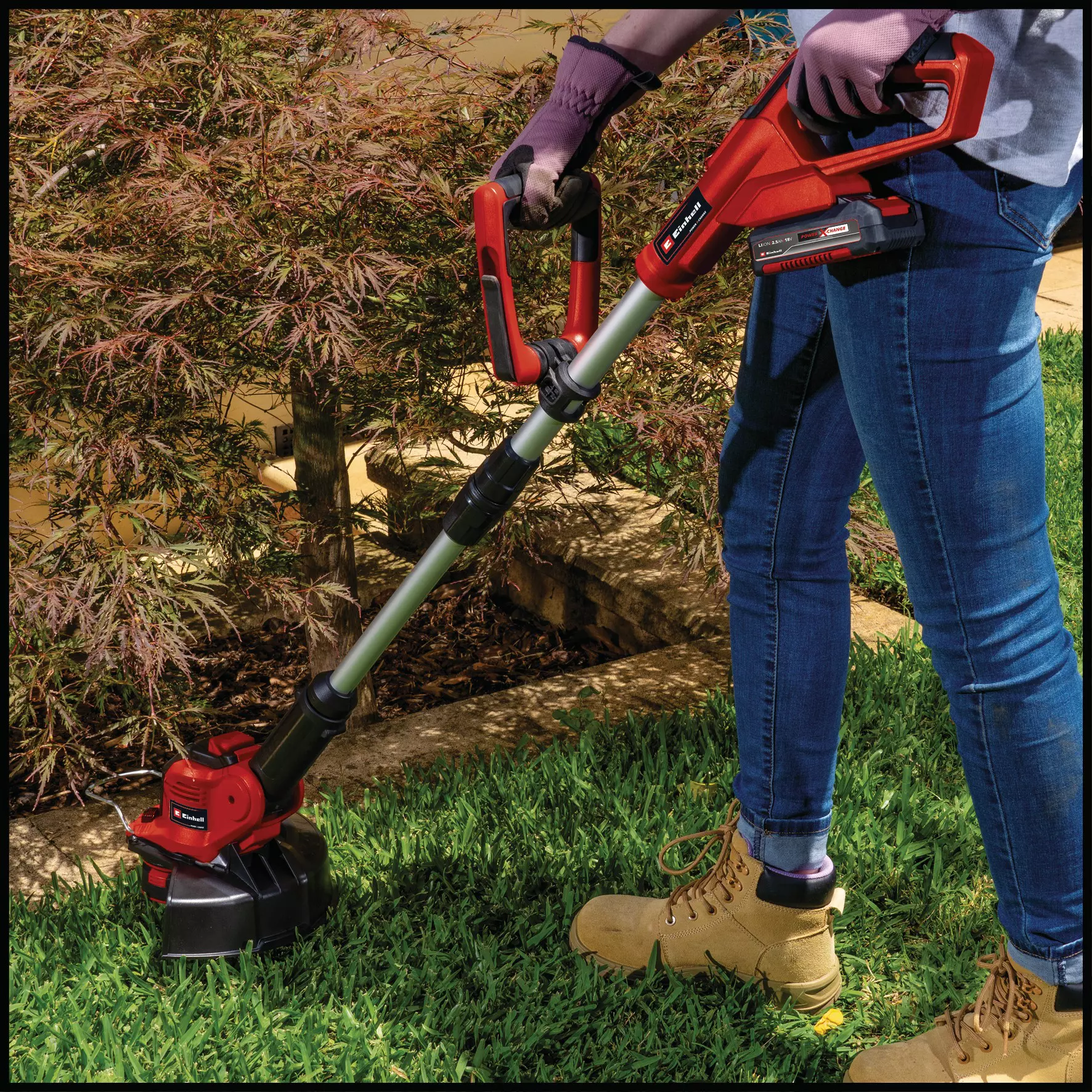 einhell-expert-cordless-lawn-trimmer-3411242-detail_image-002
