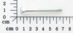 carriage bolt