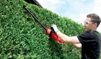 einhell-classic-electric-hedge-trimmer-3403742-example_usage-001