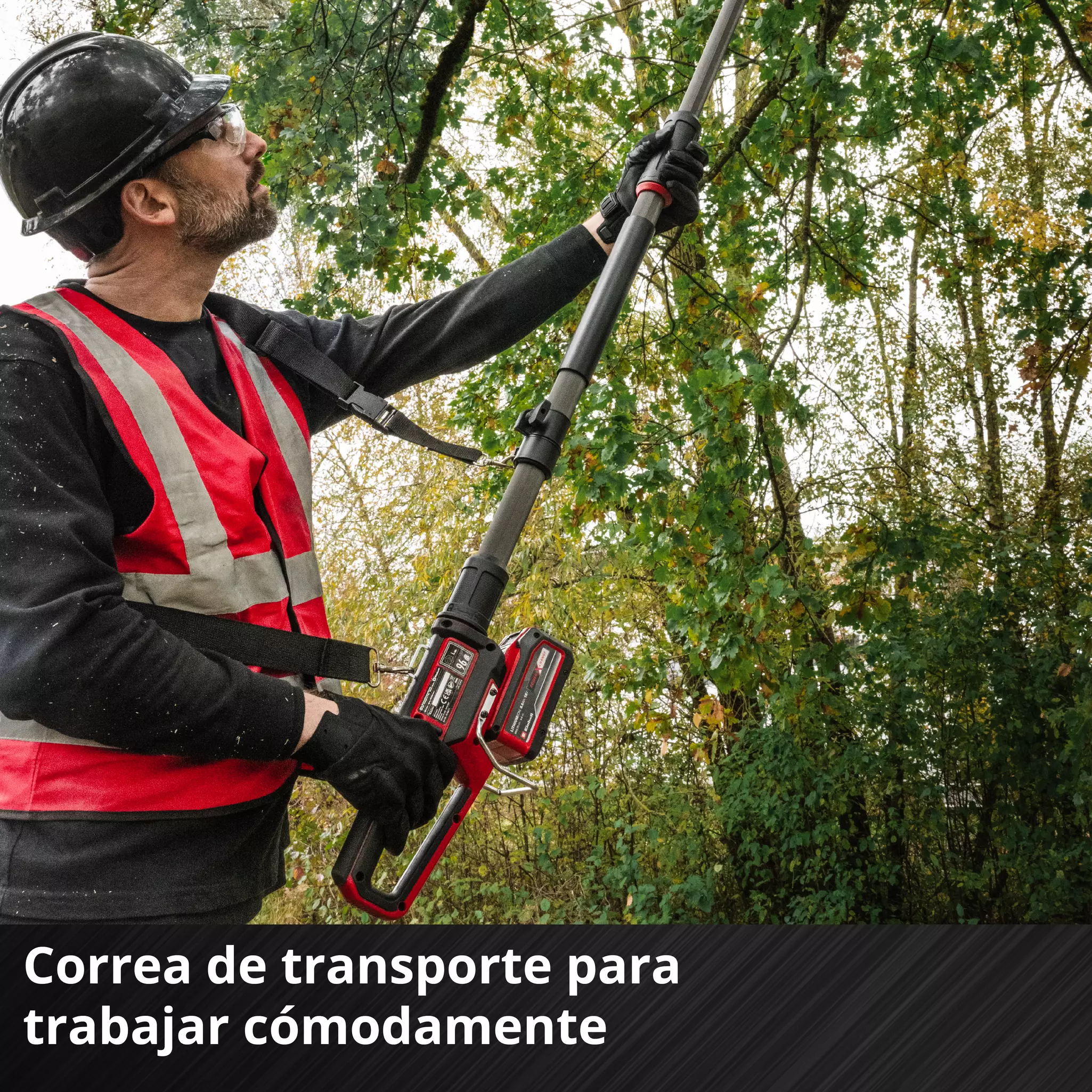 einhell-professional-cl-pole-mounted-powered-pruner-3410971-detail_image-006