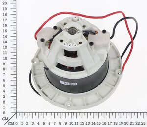 Motor 36V