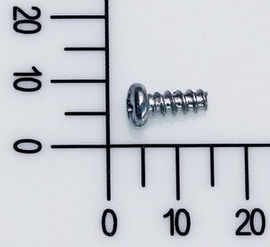 Self tapping screw