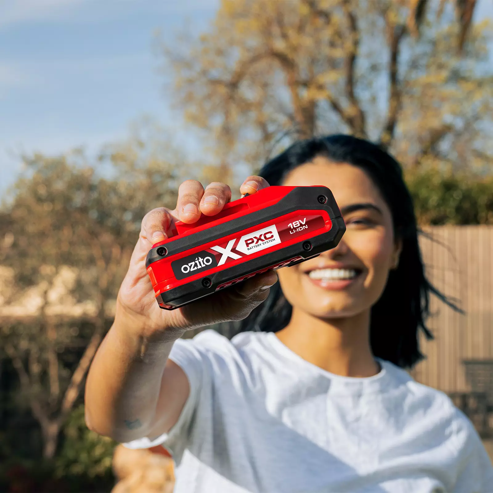 ozito-battery-3001246-example_usage-103