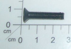 Screw