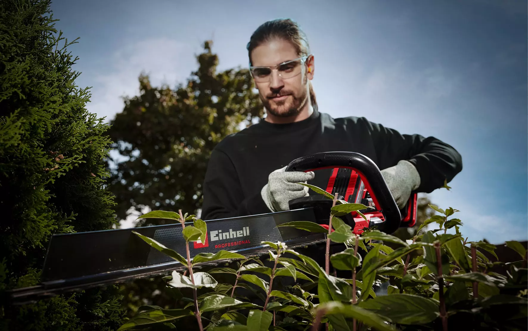 einhell-professional-cordless-hedge-trimmer-3410980-example_usage-001