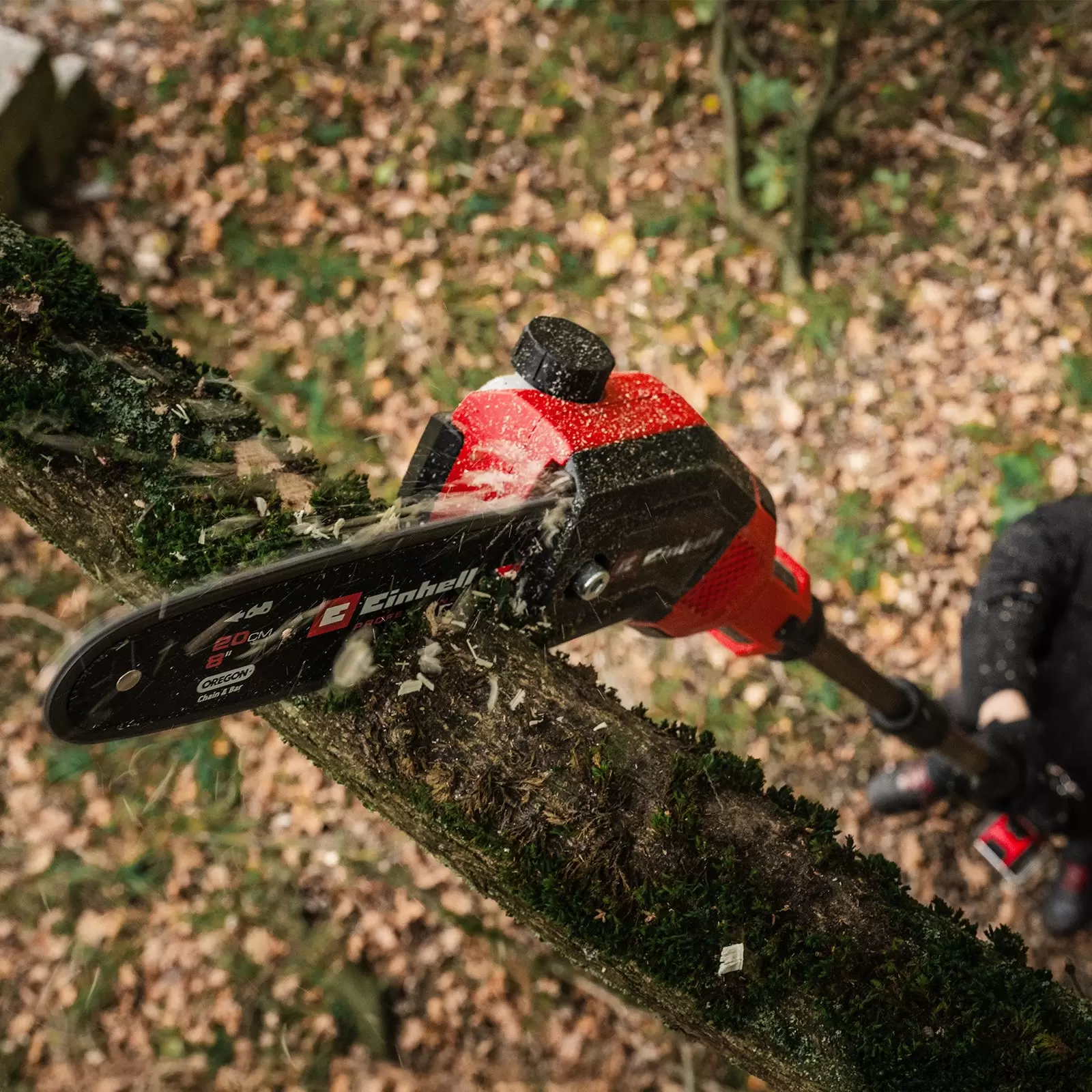 einhell-professional-cl-pole-mounted-powered-pruner-3001462-example_usage-001