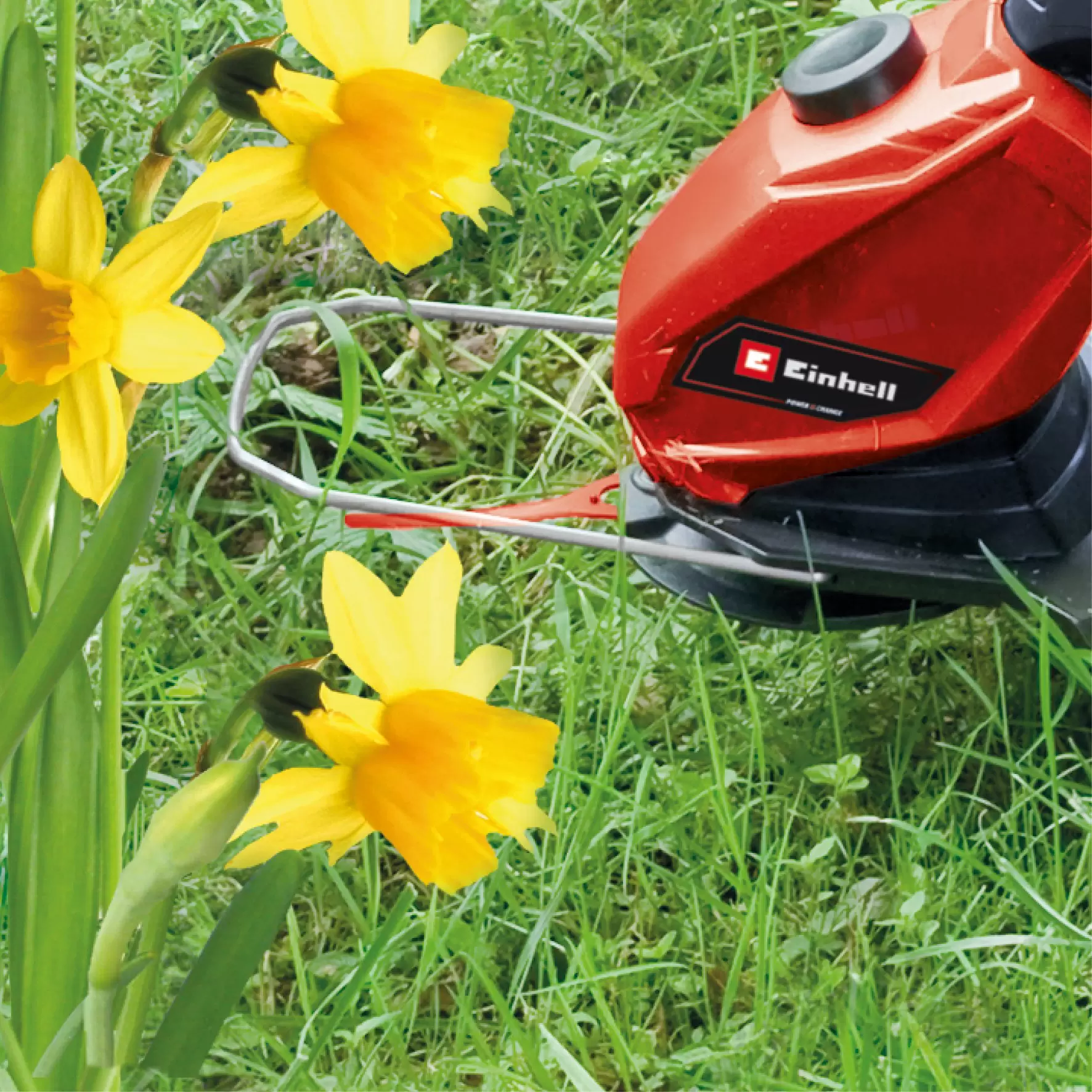 einhell-expert-cordless-lawn-trimmer-3411219-detail_image-104
