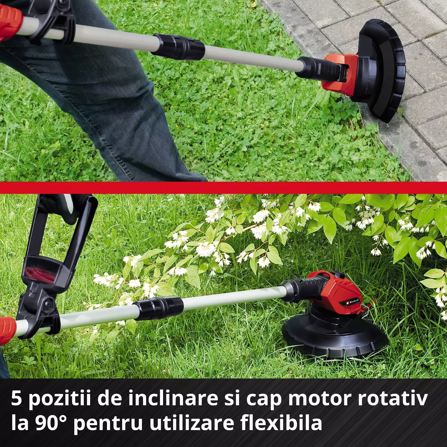 einhell-expert-cordless-lawn-trimmer-3411219-detail_image-003