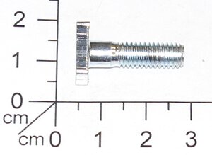T-Bolzen