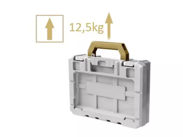 Graphic of an E-Case Half-size organiser box with an arrow icon and a label "12.5 kg" to show its maximum payload.