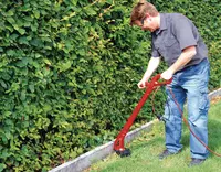 einhell-classic-electric-lawn-trimmer-3402040-example_usage-001