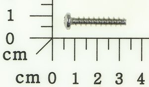 screw C ST4,8*25