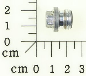 Plug screw