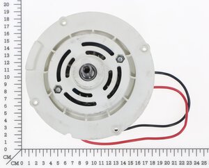 Motor 36V