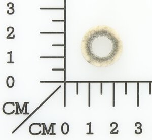 Filzring
