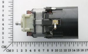 brush-type motor