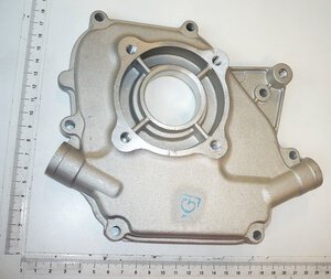 Crankcase Cover