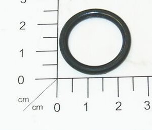 o-ring