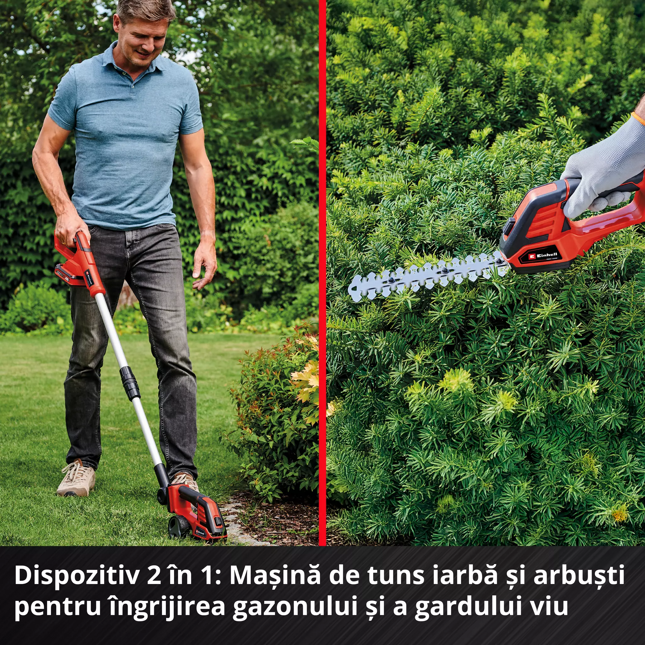 einhell-expert-cordless-grass-and-bush-shear-3410316-detail_image-002