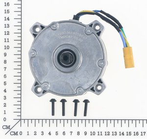 Motor assembly