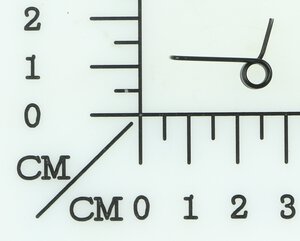 Torsional spring