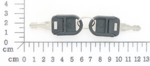 key 1001