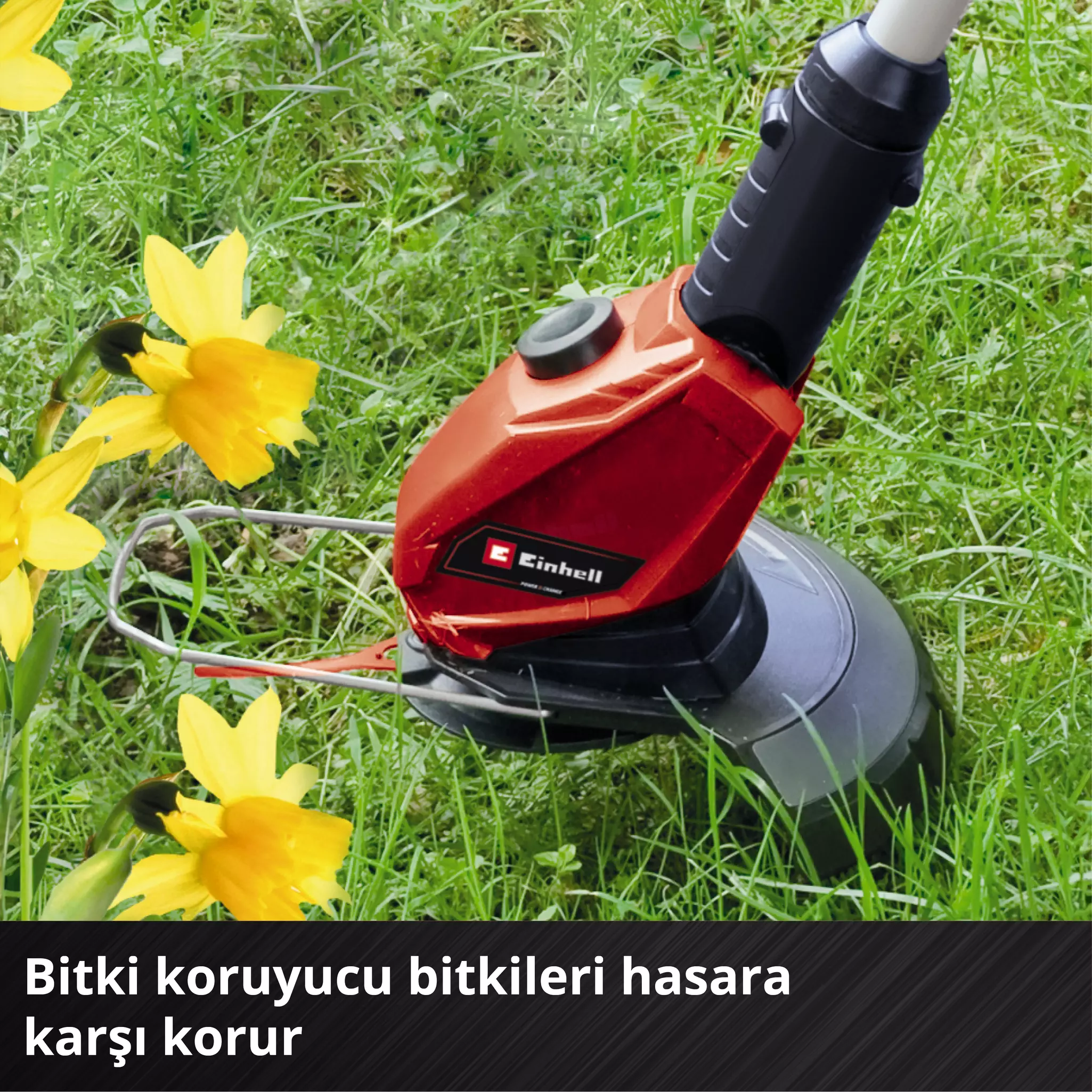 einhell-expert-cordless-lawn-trimmer-3411219-detail_image-006