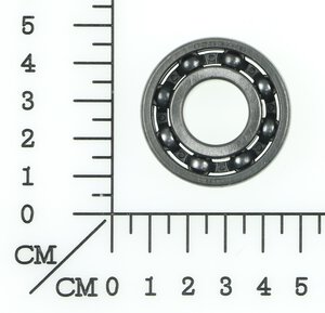 Crankcase bearing