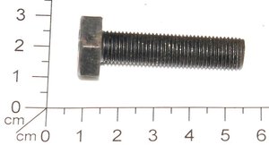 Bolt M10 x 1 x 45