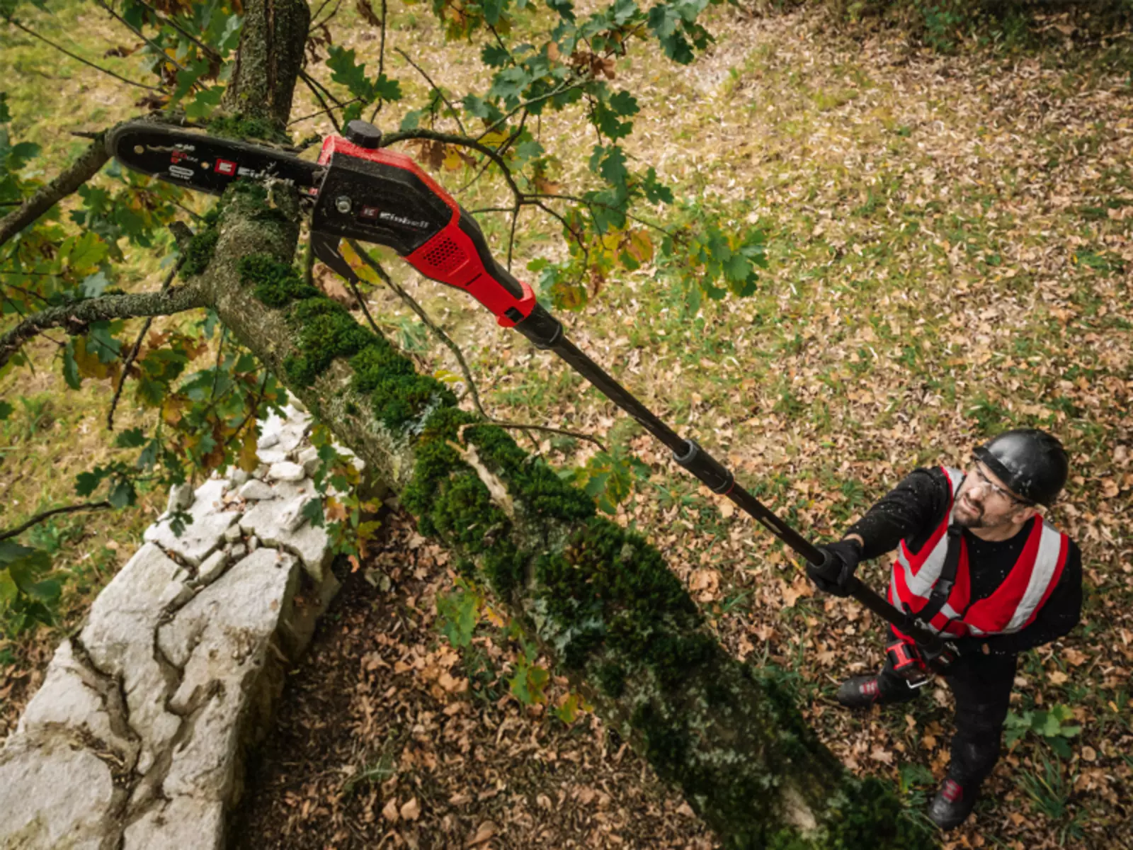 Powerful-pole-pruner