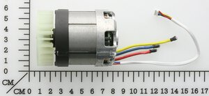 brushless motor
