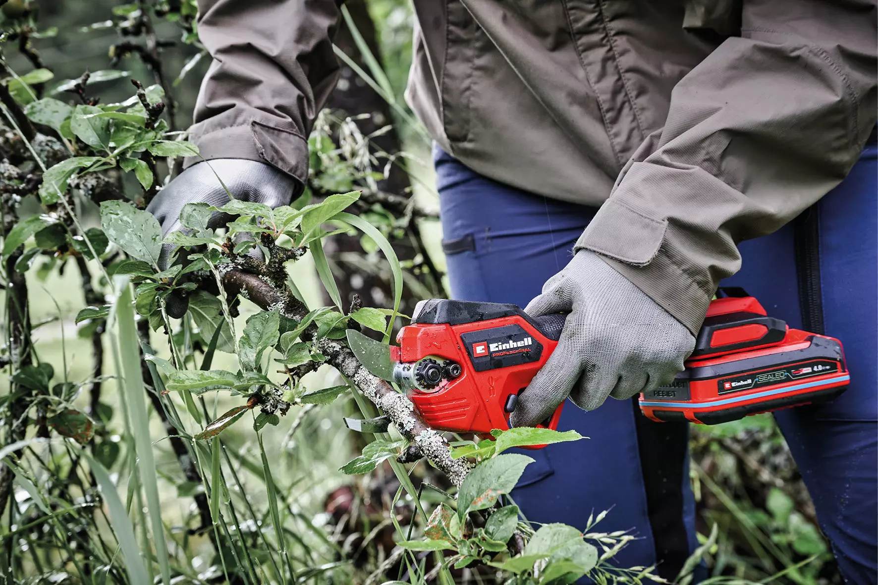 einhell-professional-cordless-pruning-shears-3408350-example_usage-001