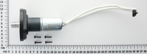 Rear Wheel Motor Assembly