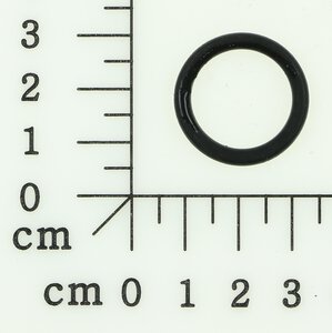 o-ring