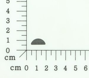 Scheibenfeder