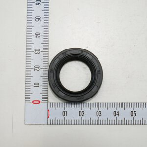 oil seal