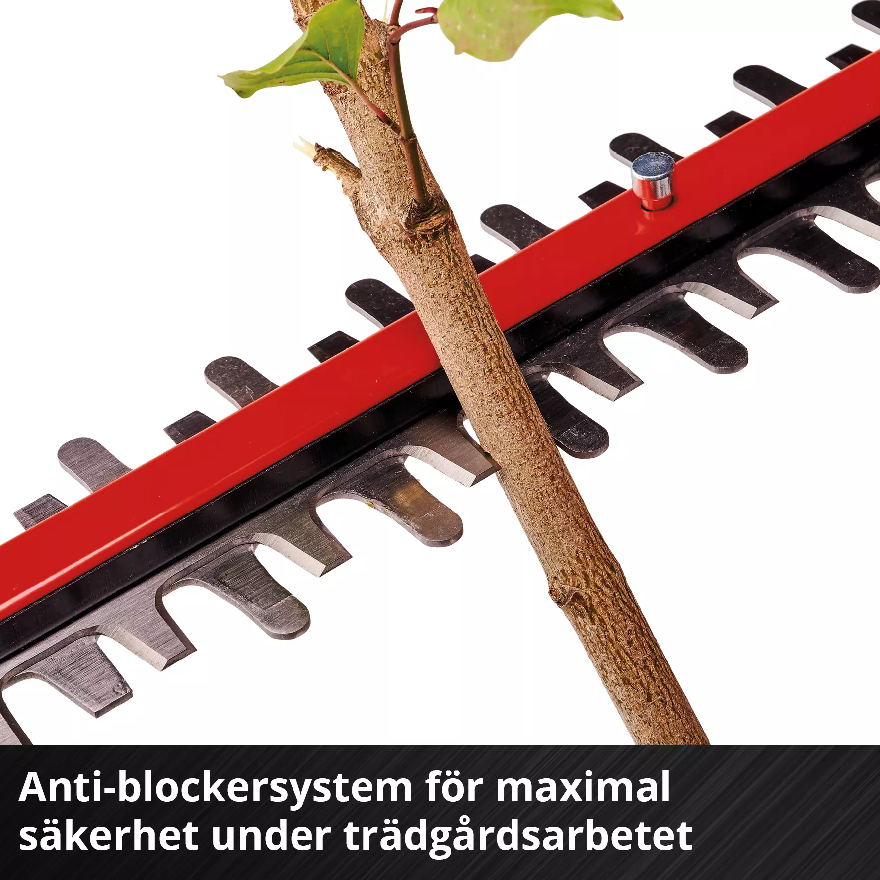 einhell-professional-cordless-hedge-trimmer-3410950-detail_image-007