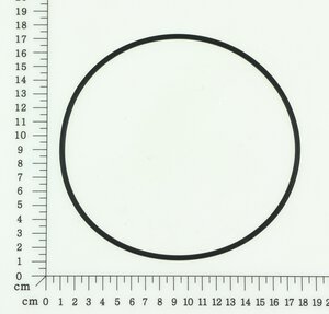 O-Ring