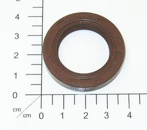 Oil Seal