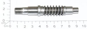 Schneckenwelle