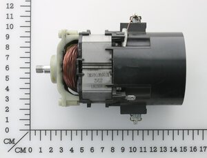 brush-type motor