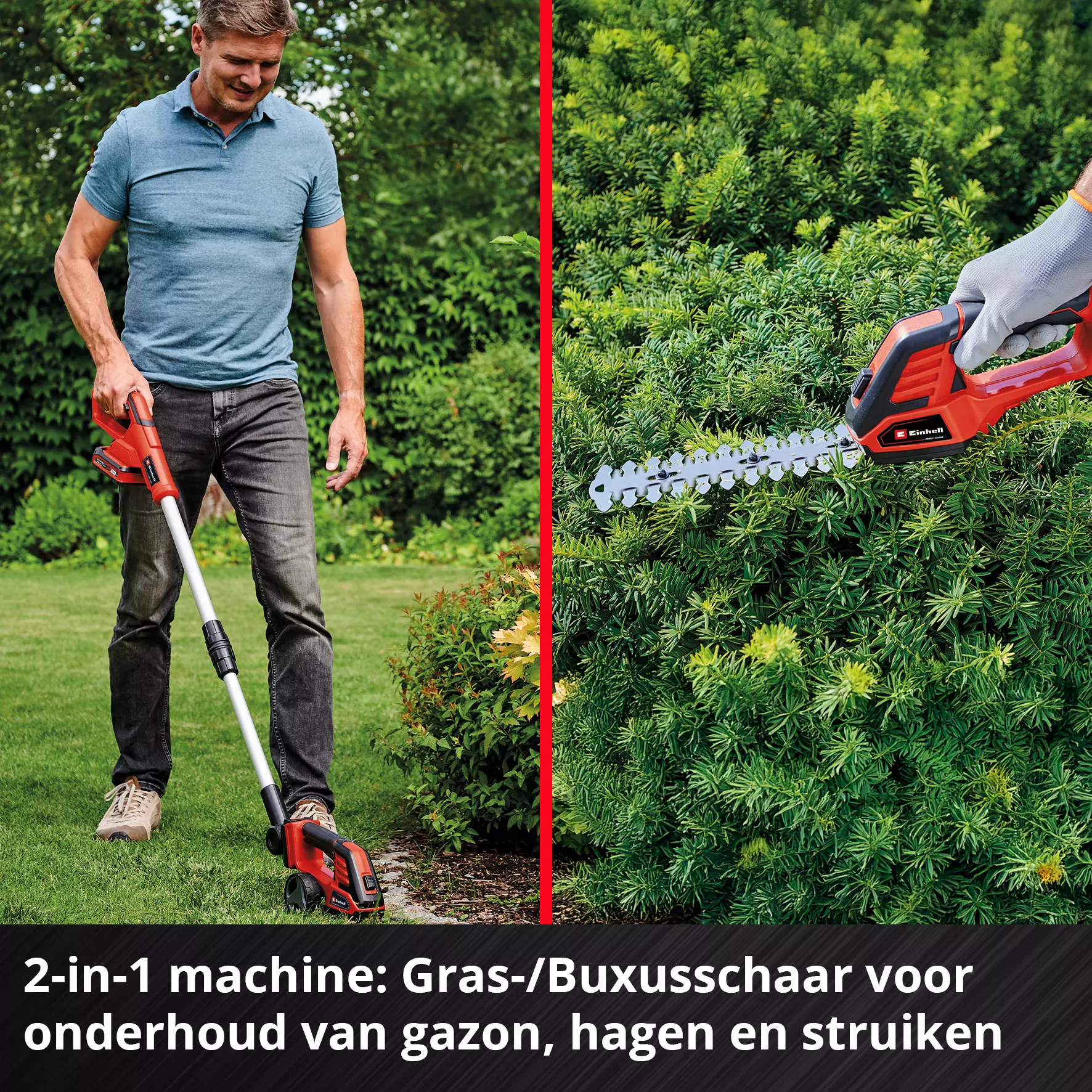 einhell-expert-cordless-grass-and-bush-shear-3410316-detail_image-002