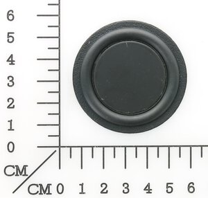 diaphragm