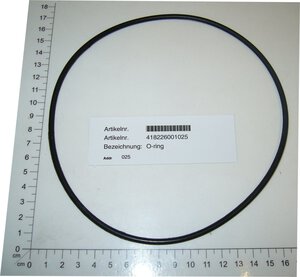 o-ring
